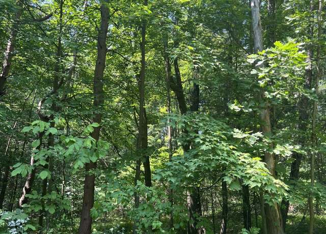 Property at VL Blair St, West Olive, MI 49460