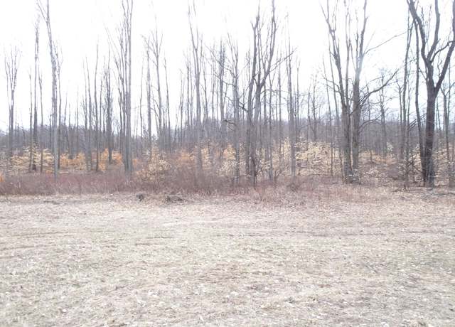 Property at C Chief Rd, Bear Lake, MI 49614