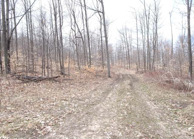 Property at D Chief Rd, Bear Lake, MI 49614