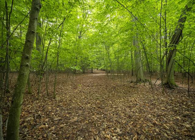 Property at Wildwood Trl, Manistee, MI 49660