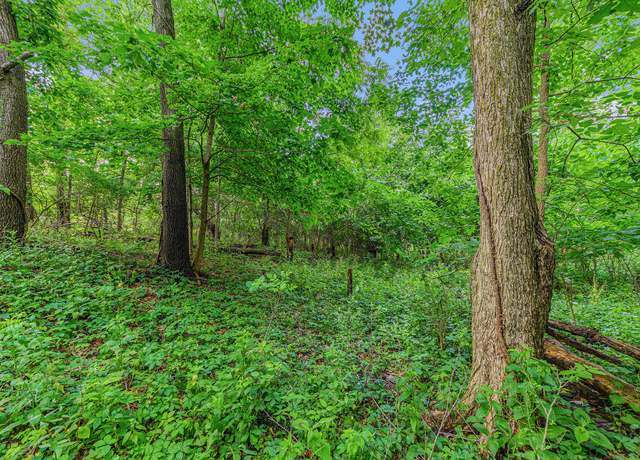 Property at V/L Avenue C, Springfield, MI 49037