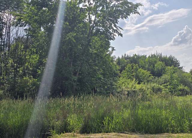 Property at VL Cedar Creek Rd, Delton, MI 49046