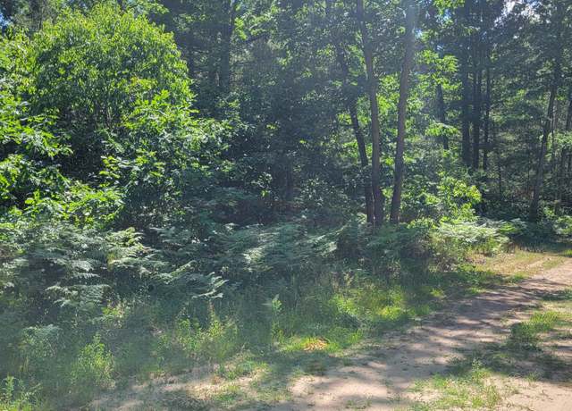 Property at 0 Chicago Ave, Idlewild, MI 49642