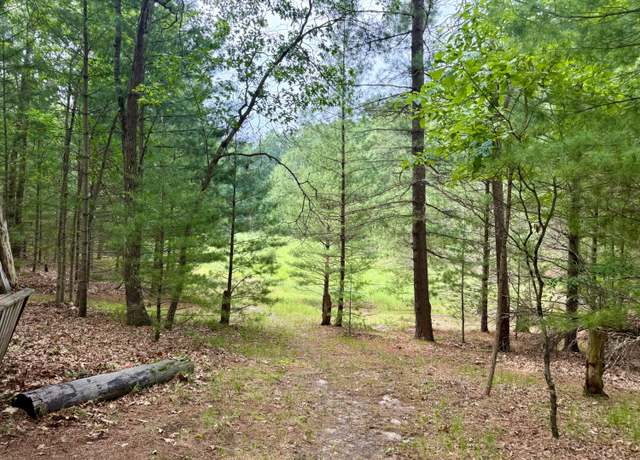 Property at Columbine, Baldwin, MI 49304