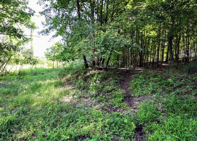 Property at VL Round Lake Rd, Vermontville, MI 49096