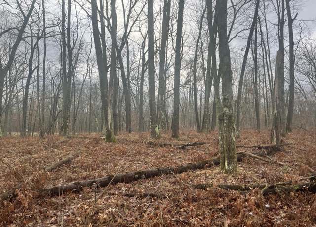 Property at 00 N Woodbridge Ave, Bitely, MI 49309