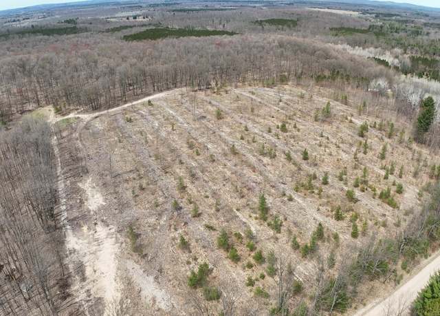 Property at Erwin Rd, Copemish, MI 49625