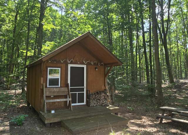 Property at Erwin Rd, Copemish, MI 49625