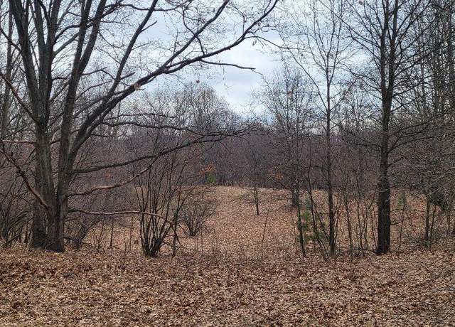 Property at 300 N 56th Ave, Mears, MI 49436