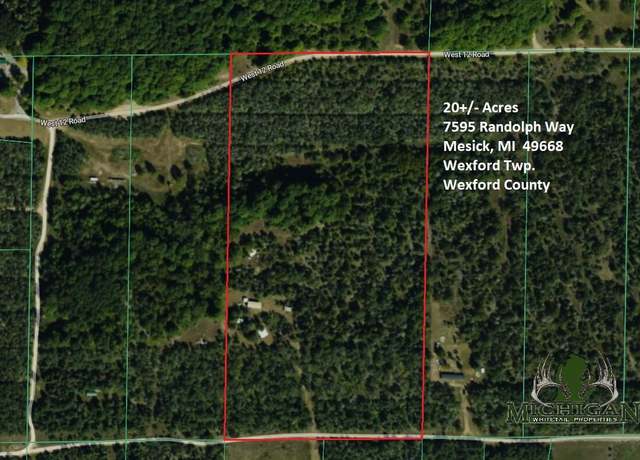 Property at 7595 Randolph Way, Mesick, MI 49668