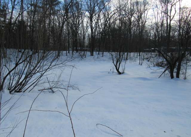 Property at V/l Marion St, Wellston, MI 49689