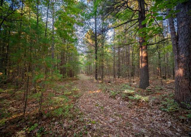 Property at 20 Acres N of 3657 Wildwood, Manistee, MI 49660