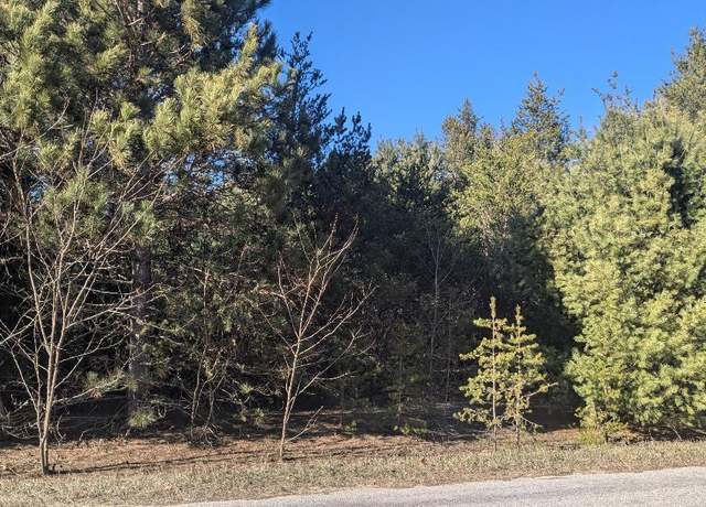 Property at 0 Tenth St, Bear Lake, MI 49614