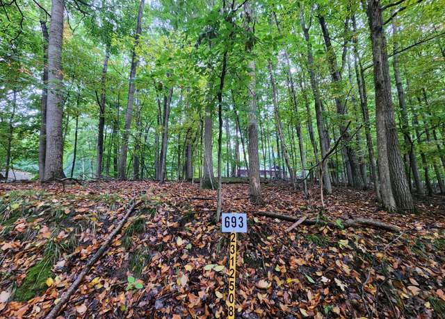 Property at 9845 Lost Canyon Dr, Stanwood, MI 49346