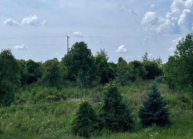 Property at V/L Newaygo Rd, Casnovia, MI 49318