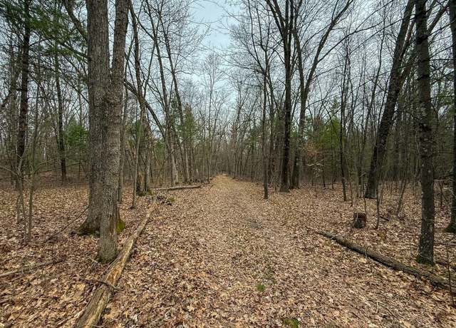 Property at Cottonwood Ave, Howard City, MI 49329