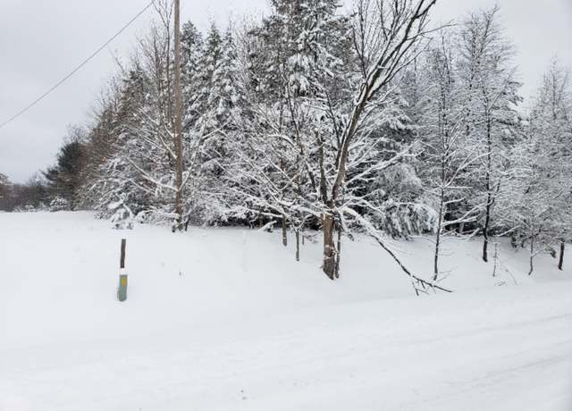 Property at Chief Rd, Kaleva, MI 49645