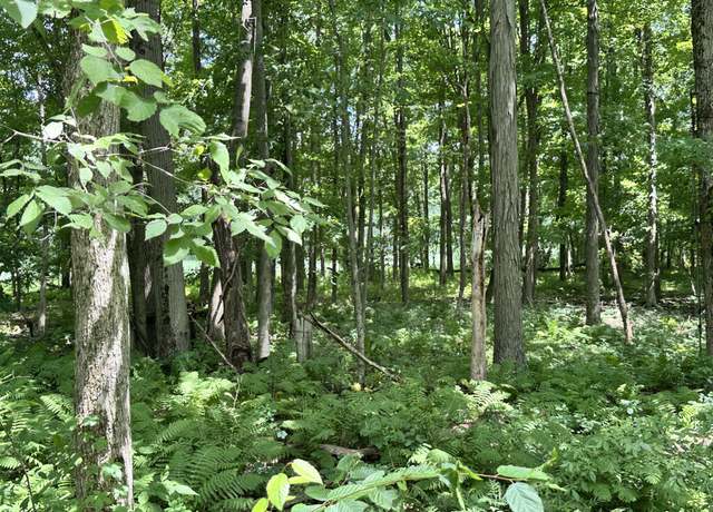 Property at Flach Rd, Vicksburg, MI 49097