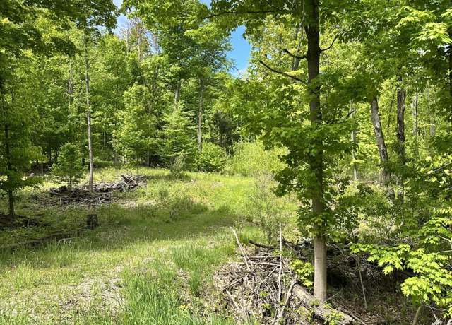 Property at 4333 E Town Line Rd, Fountain, MI 49410