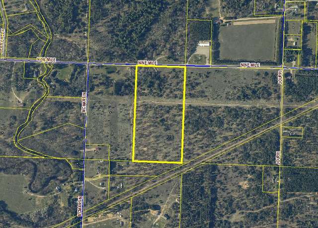 Property at 19.5 Acres 9 Mile Rd, Kaleva, MI 49645