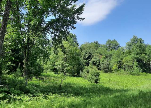 Property at 19.5 Acres 9 Mile Rd, Kaleva, MI 49645