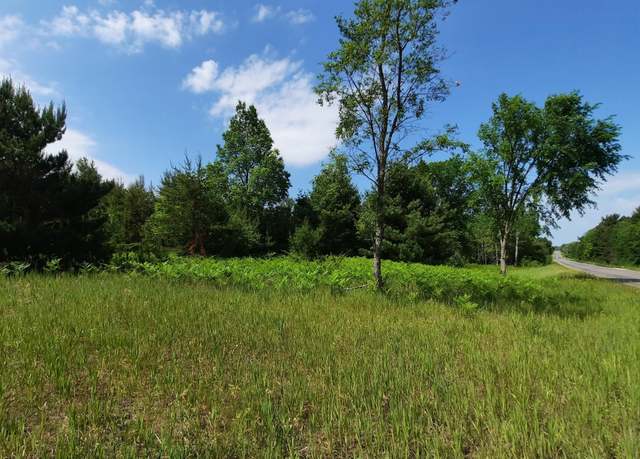 Property at 19.5 Acres 9 Mile Rd, Kaleva, MI 49645
