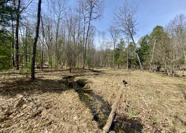 Property at 9.75 Acres Snyder Rd, Wellston, MI 49689