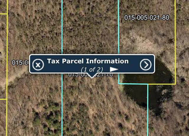 Property at 22903 Waterwheel Dr, Pierson, MI 49339