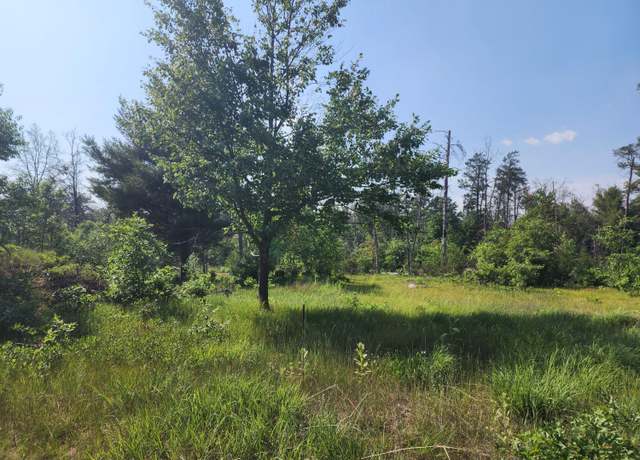 Property at 900 Stitt Ln, Mio, MI 48647