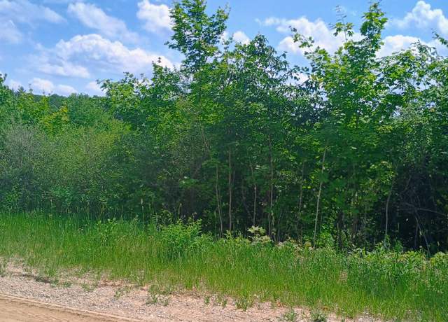 Property at 000 Pontius Rd SE, Kalkaska, MI 49646