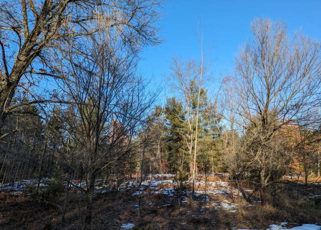 Property at 3 Louhi St, Kaleva, MI 49645