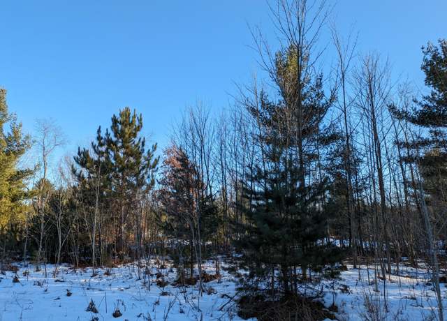 Property at 6 Jussi St, Kaleva, MI 49645