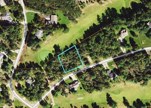 Property at Lot 29 White Pine Dr, Cadillac, MI 49601