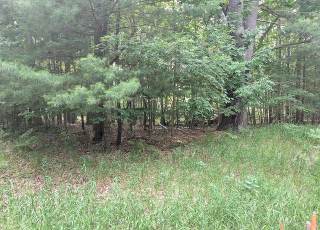 Property at V/L Tamarack Rd, Ludington, MI 49431