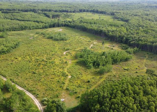 Property at E Freesoil Rd Unit 40 acres, Free Soil, MI 49411