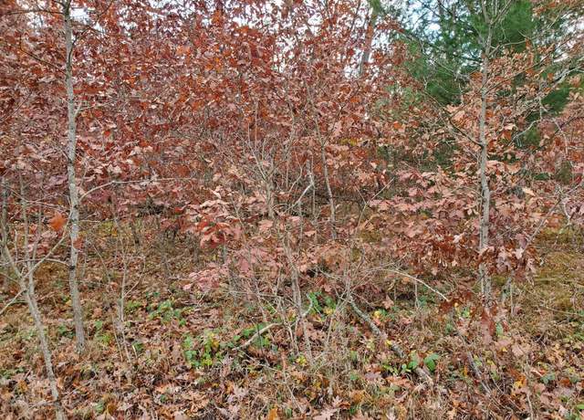 Property at 00 Dubois Ave, Idlewild, MI 49642