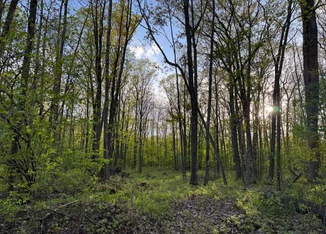 Property at V/L Lot 187 Alps Dr, Reed City, MI 49677