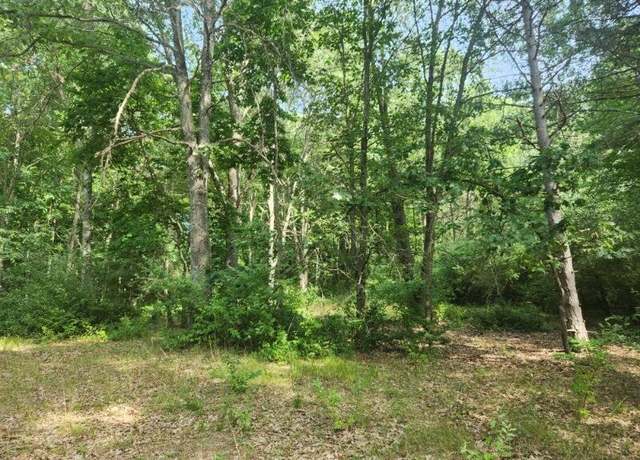 Property at V/L S Riverbend Rd Lot 54, Branch, MI 49402