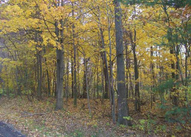 Property at Parcel 2 66th/135th St, Saugatuck, MI 49453