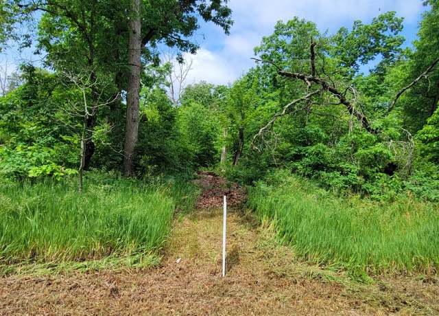 Property at V/L Cherry St, Baldwin, MI 49304