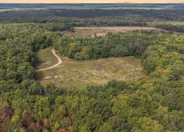 Property at 2599 N Pine Parcel B Ave, White Cloud, MI 49349