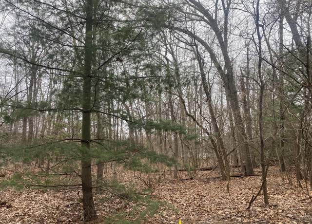 Property at 18657 Forest Beach Dr, New Buffalo, MI 49117
