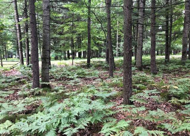 Property at 6807 Beechnut Ct, Canadian Lakes, MI 49346