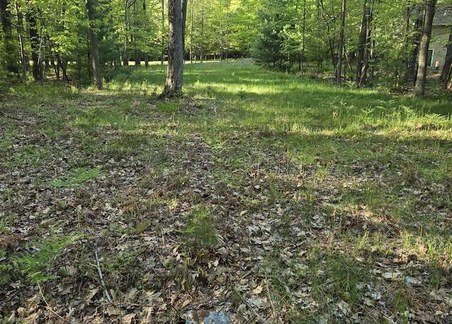Property at LT 5,14,15 N Ridge Rd, Mears, MI 49436