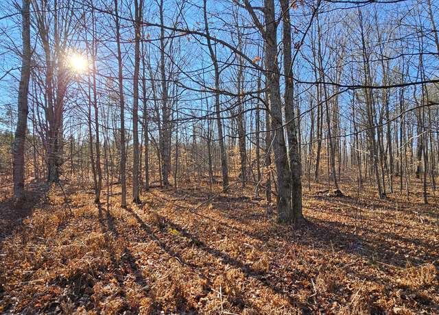 Property at 1621 Baker Rd NE, Kalkaska, MI 49646