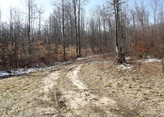 Property at 000 Valley St, Alden, MI 49612