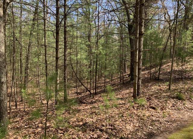 Property at Lenox Ave, Pentwater, MI 49449