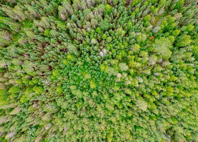 Property at V/L Us-02 Hwy Lot 1, Gould City, MI 49838