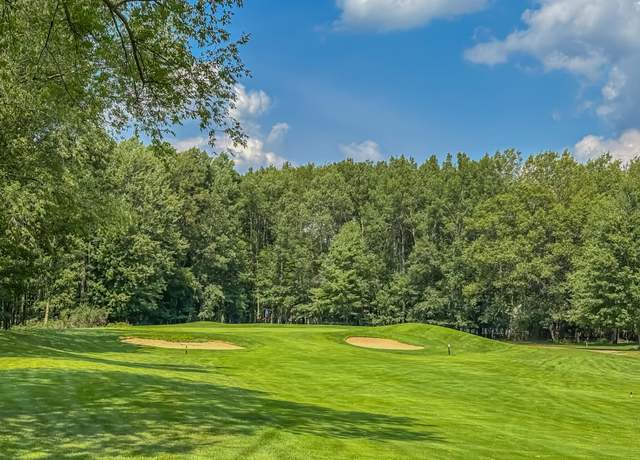 Property at 7480 Regency Ln, Canadian Lakes, MI 49346