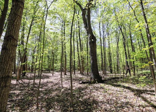 Property at VL Benny Ct (private) Unit Parcel 2, Grand Junction, MI 49056